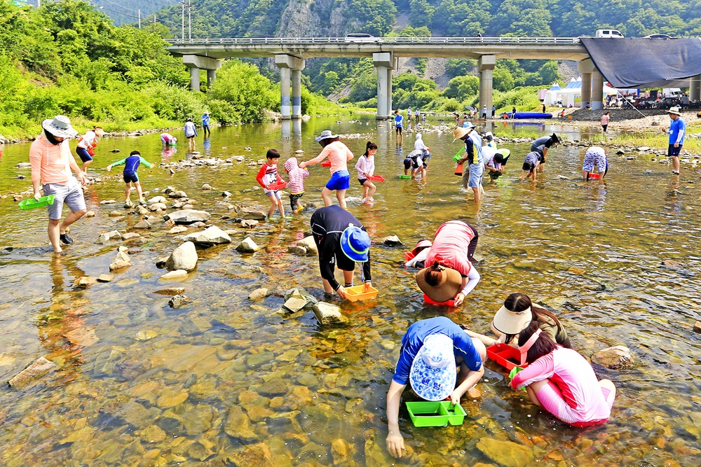 "청송에서 멋진 여름 추억 만드세요!" 제11회 청송 백석탄 다슬기 축제 개최
