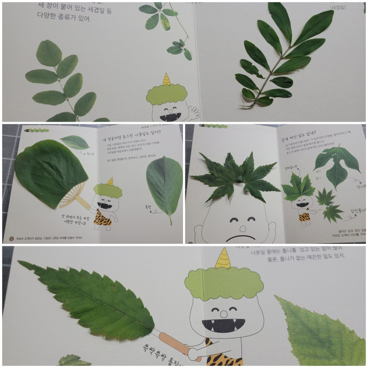 인천 서구, 서구문화도시 예비사업 ‘매립지와 도시생태 시민연구단’