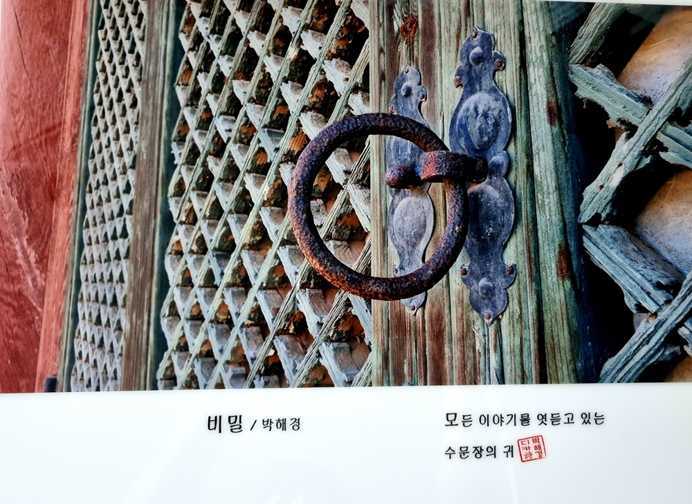 울산 북구 문화쉼터 몽돌, 8월 전시 '디카詩 세상展'... 디카와 시가 만난 작품 20여점 소개