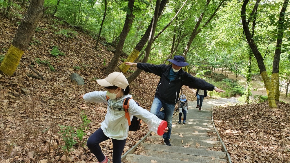 서울 강동구, ‘일자산 치유의 숲길’ 도심 속 웰빙명소로 인기!