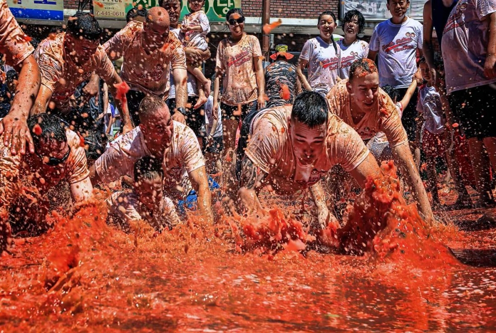 민․군․관 화합축제 원조 '화천 토마토 축제' 8월 5일 개막