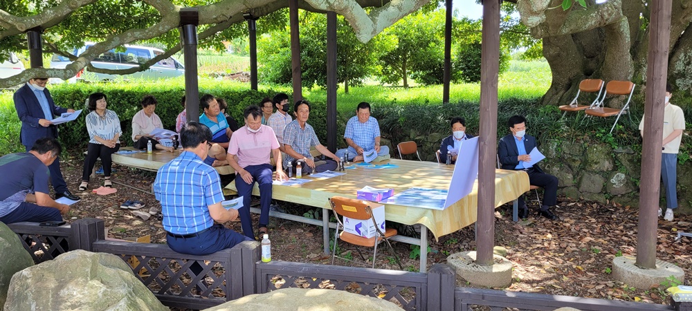 남해군, 왕후박나무 종합정비계획 세운다