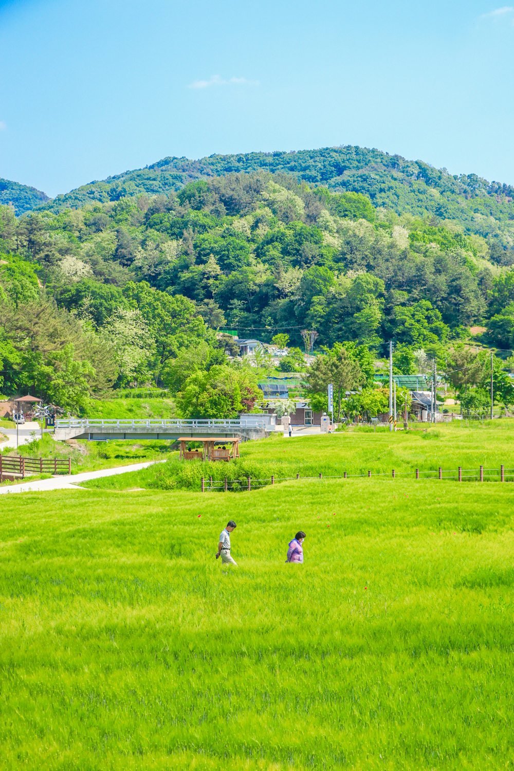 대전 대덕구, ‘상반기 사진 공모전’ 수상작 선정 발표