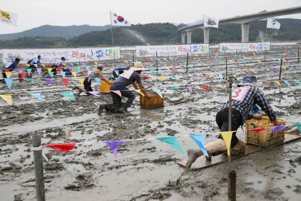 보성군, 3년 만에 다시 만나는 ‘벌교갯벌 레저뻘배대회’