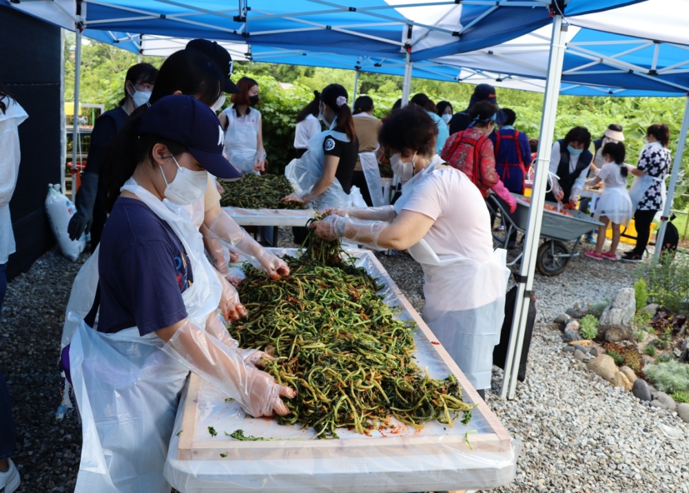 서울 금천구, 가족과 함께하는 열무김치 담그기 행사 개최