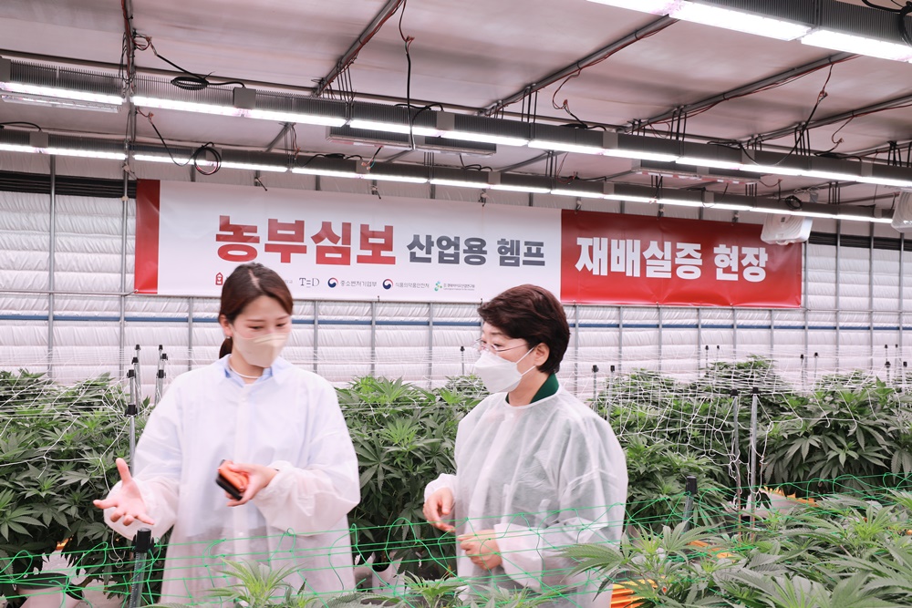 경상북도, 헴프 규제자유특구 통해 신시장 개척해야