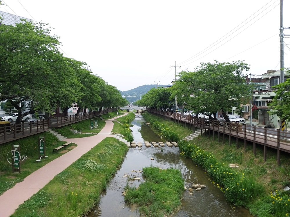 경상북도, 집중호우로 발생한 하천쓰레기 정화사업 추진