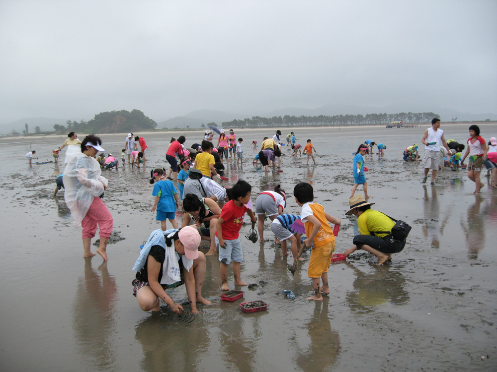 고창군, 자연이 좋다! 갯벌이 숨 쉰다! 고창으로 GO! GO!