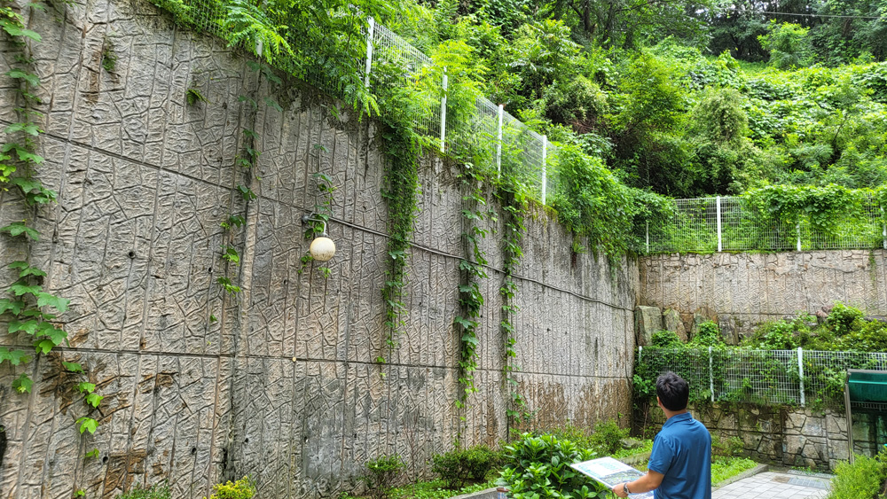 대전 서구, 집중호우 대비‘산림분야 피해 우려 지역’점검