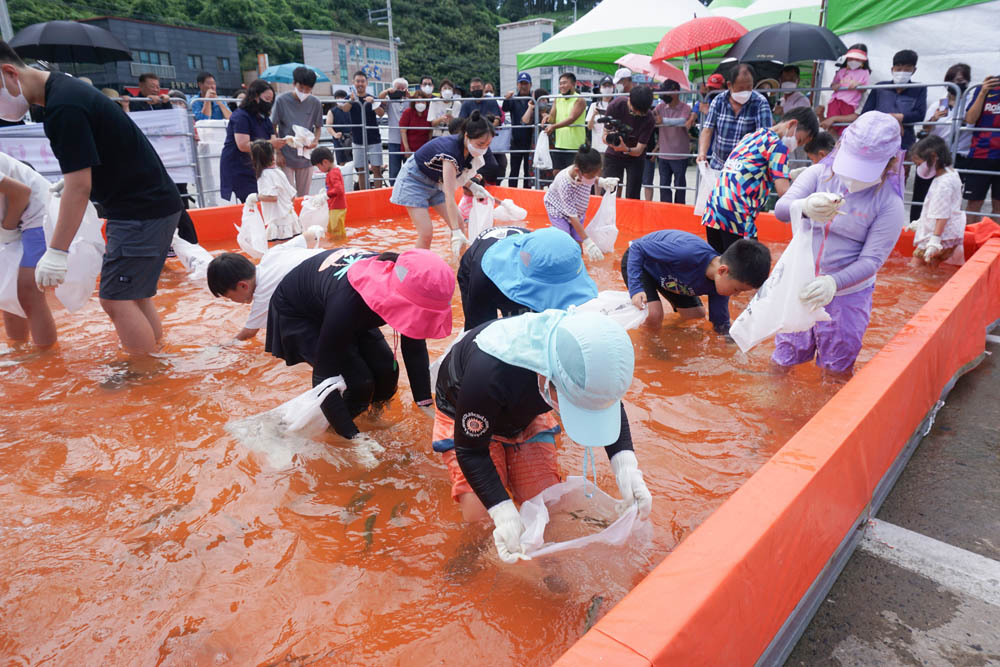 서천군 ‘제20회 홍원항 자연산 전어·꽃게축제' 개막
