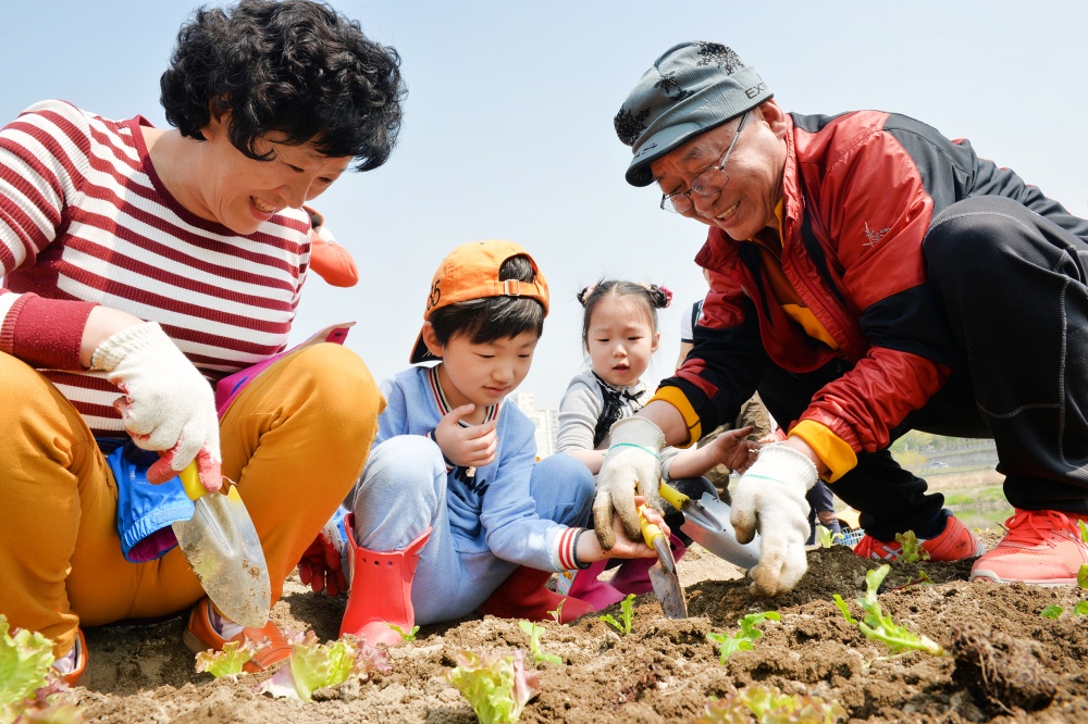 서울 동대문구, 도시농업 체험학습장에서 김장용 채소를 심어보세요