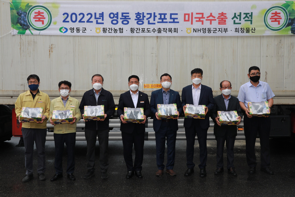 영동군, 과일의 고장 영동 포도 올해도 미국 수출길 세계로 ‘훨훨’