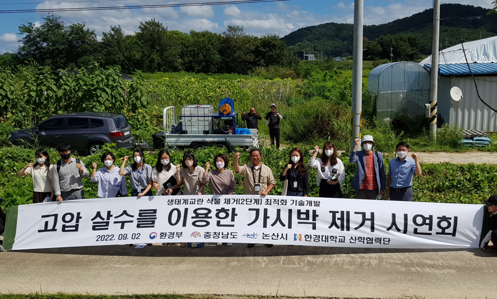 충남도, 생태계 교란 가시박 신기술로 없앤다