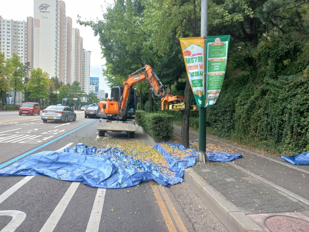 인천 남동구, 은행나무 열매 수확 작업으로 악취 민원 사전 해소