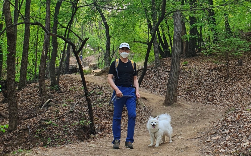 서울 용산구, 반려견 산책교육 참여자 모집
