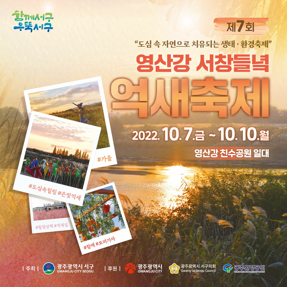 광주 서구, 3년만에 돌아온 억새축제…내달 7일~10일 개최