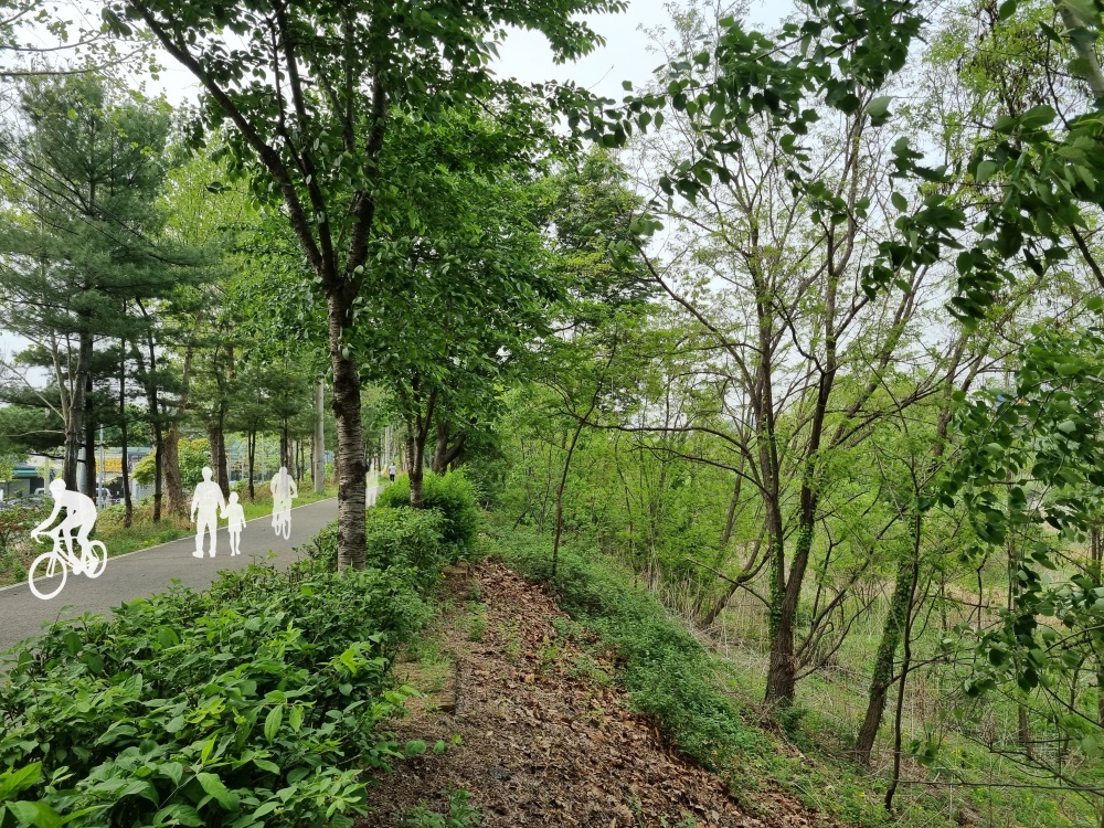 서울 강남구, 단절된 탄천 산책로 신설하고 자전거도로와 연결