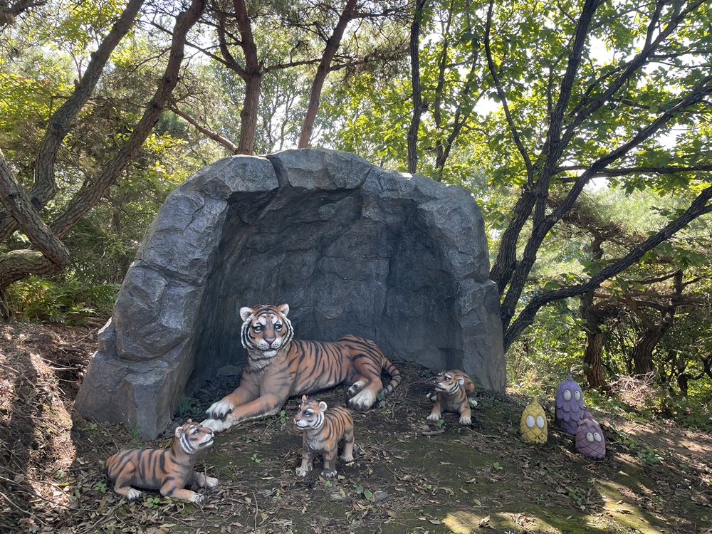 의령군, 한우산 억새숲 속 호랑이 보러 오세요