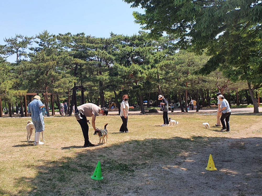서울 마포구, 반려동물과 함께 행복해지는 법을 배워요
