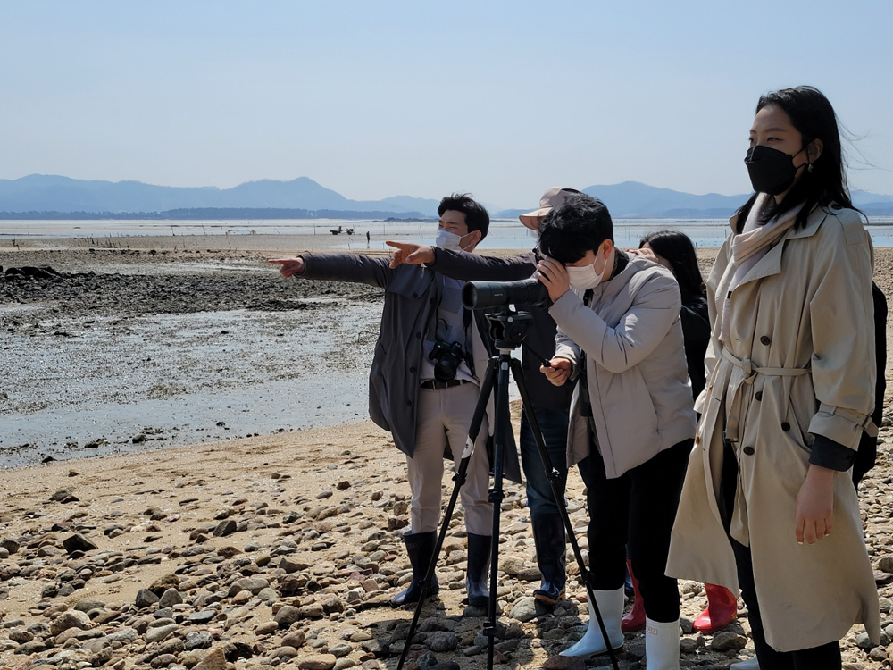 고창군, 고창갯벌학교 탐조프로그램 참가자 모집