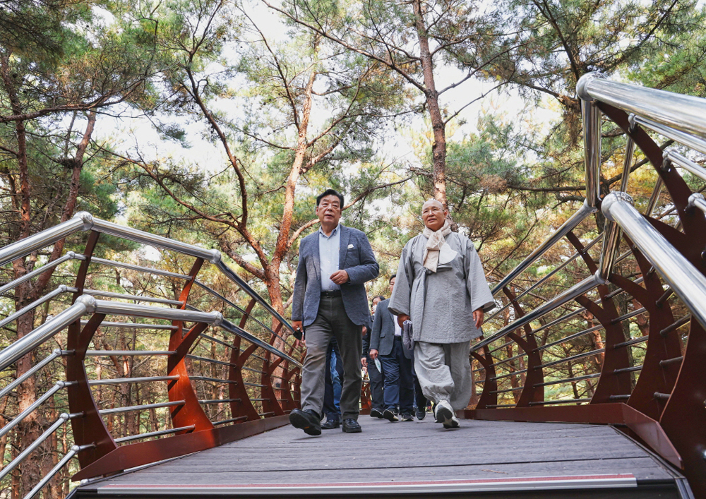 태안군, ‘백화산 숲속 공중 산책로’ 트리워크 조성 마무리!
