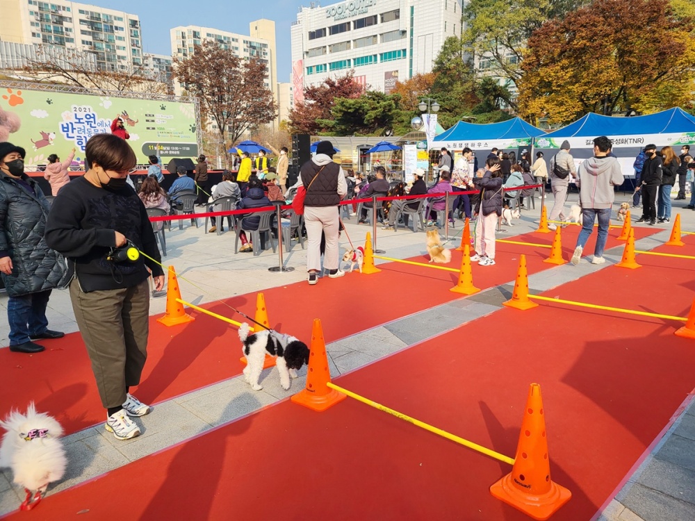 서울 노원구, '2022 반려동물 문화축제' 개최