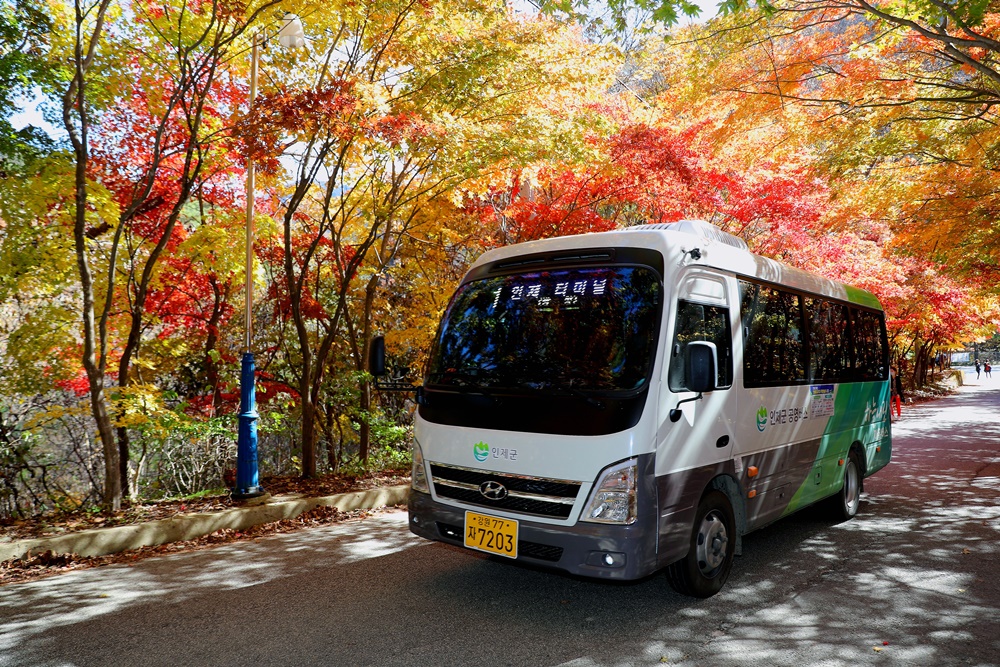 인제군, 2022년 하늘내린 마을버스 이용객 2만 명 돌파