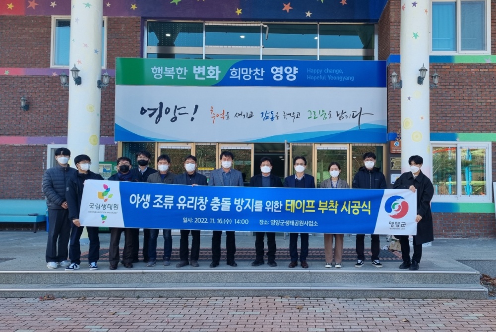 영양군, 야생조류 유리창 충돌 방지를 위한 행사 실시