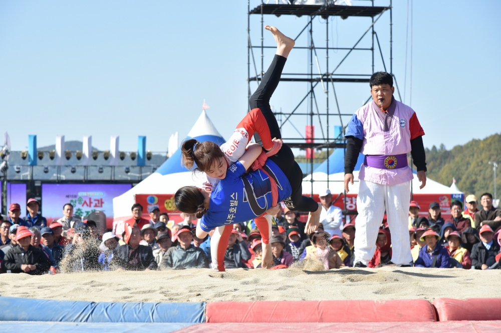 청송군, 청송사과축제와 연계한 다양한 스포츠행사 개최