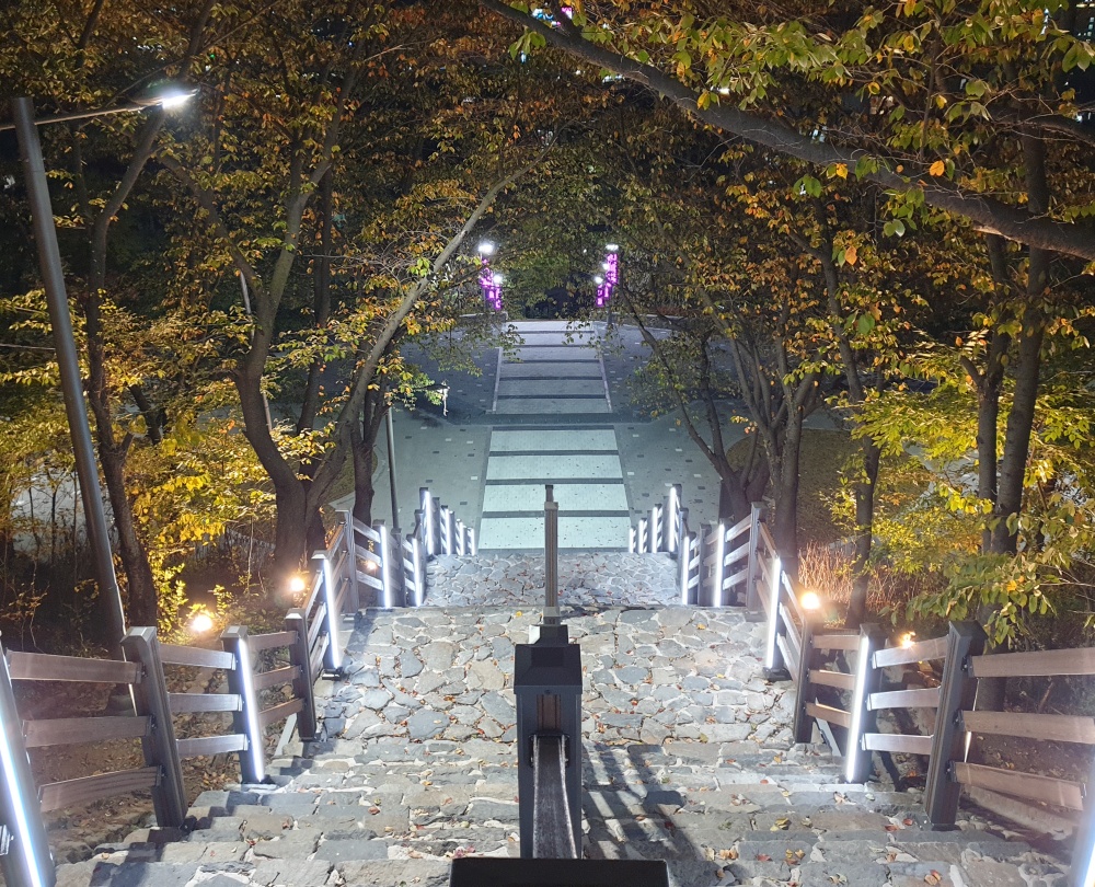 대구 북구, '침산정' 사진찍기 좋은 벚꽃명소로 거듭나다