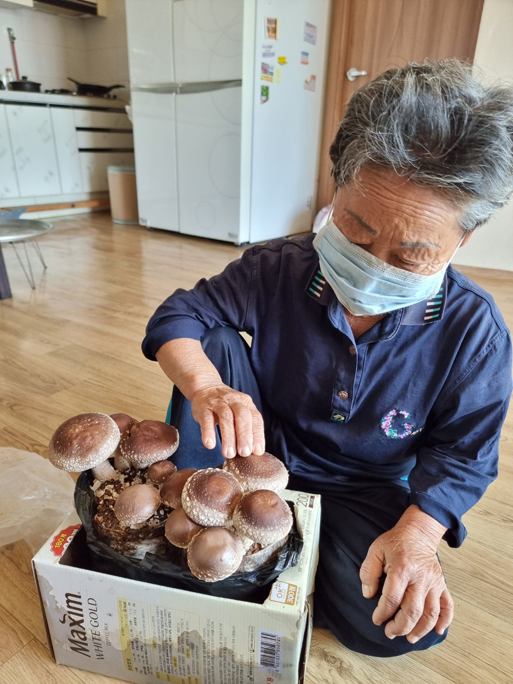 괴산군 노인맞춤돌봄센터, 표고버섯키우기를 통한 우울증 예방