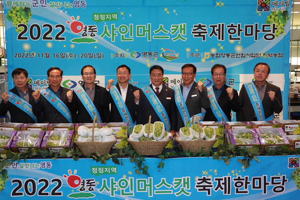 과일의 고장 영동군, 영동포도 명품 포도 이미지 구축한다