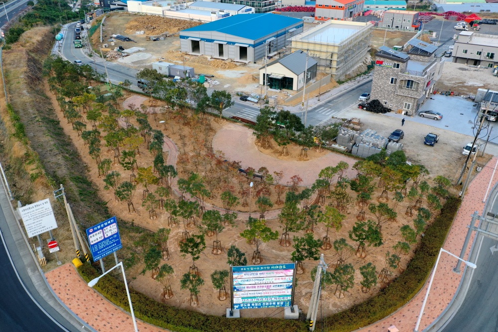 완도군, 미세먼지 저감 숲 조성 ‘일석삼조’ 효과