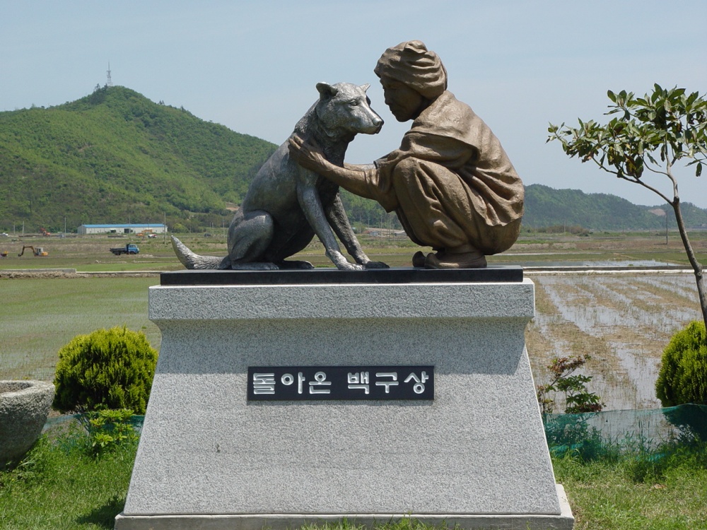 진도군, 진도개 복지 지원사업 추진