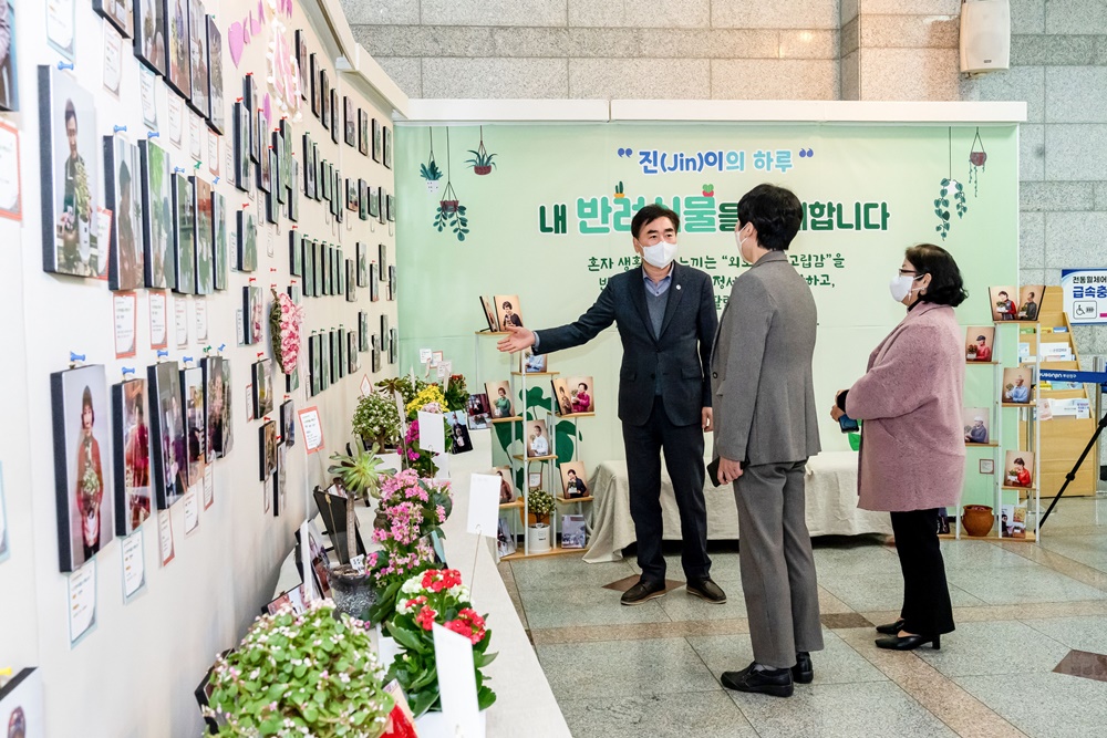 부산진구, 사진전 개최