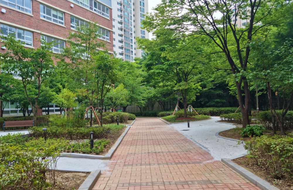 용인특례시, 5050평 자투리숲의 마법... 도심이 숨을 쉬다!