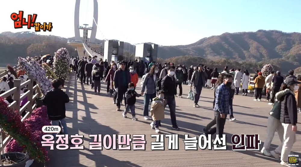 임실군, 임실엔TV, 엄니도 건넌 옥정호 출렁다리 조회수·구독 쑥