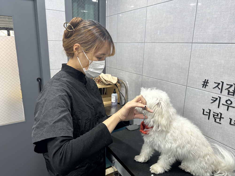 영동군, 청주상공회의소 주관 청년일자리사업 우수사례 선정