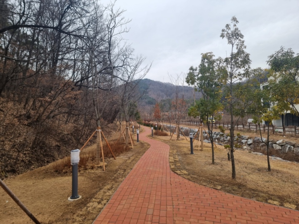 대구 동구청, 혁신도시에 미세먼지 차단숲 조성 완료