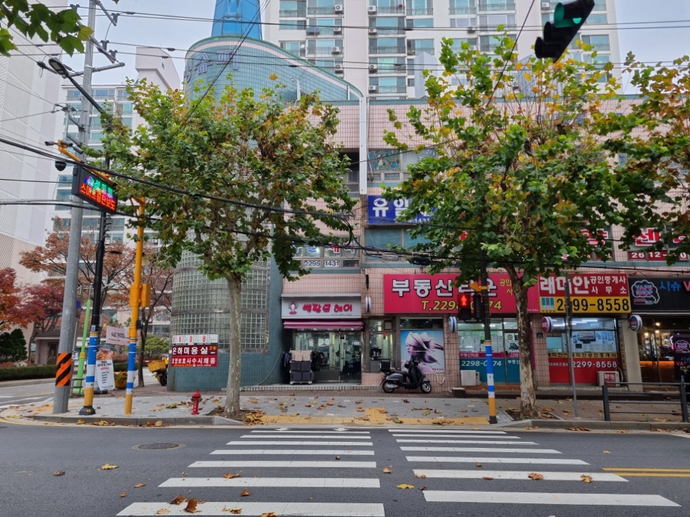 서울 성동구, 올해 통행불편 전신주 정비 완료... 안전 통학로 조성 앞장