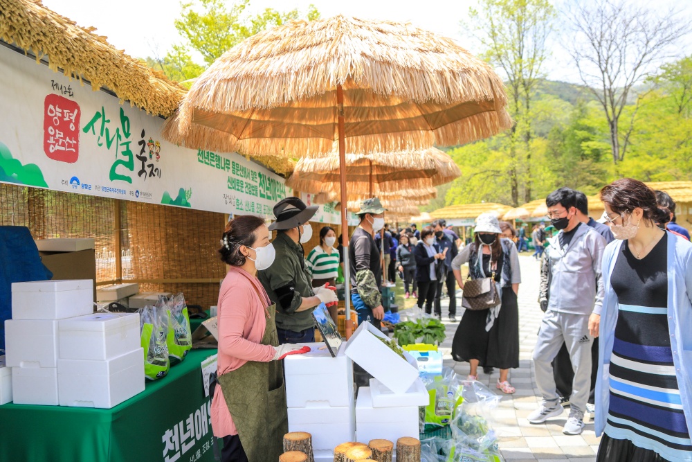 양평군, '제13회 양평 용문산 산나물축제' 대면행사로 개최