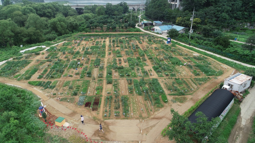 용인특례시, 시민농부 800팀 모집... 전년 대비 2배 이상 분양