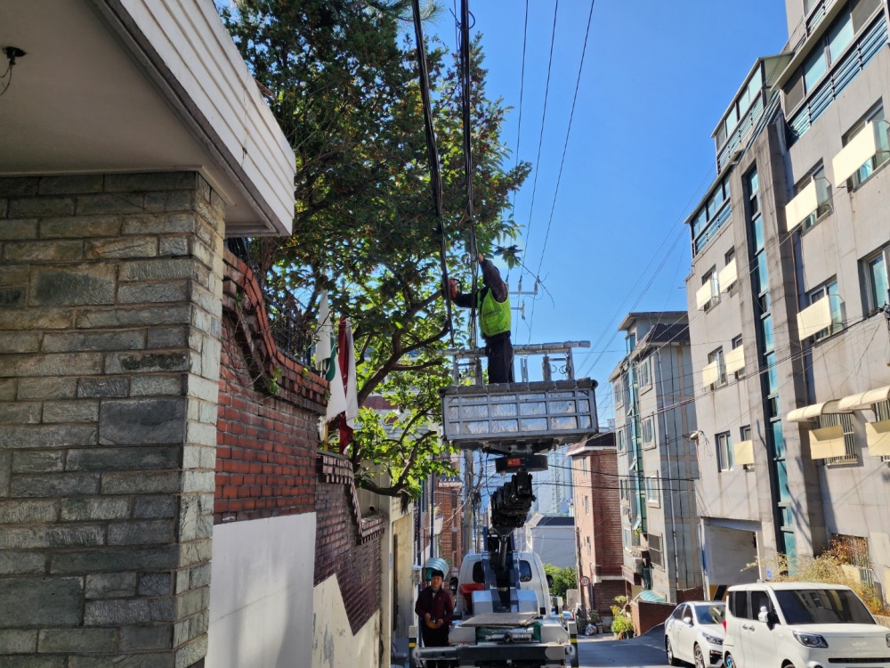 서울 강북구, '생활주변 위험수목 처리 지원사업' 지원