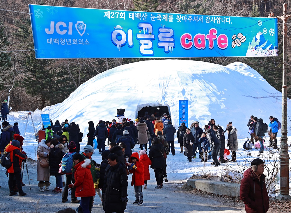 태백산 눈축제, 대형 이글루 카페와 야생화 공원 한방차 등 다양한 체험 운영