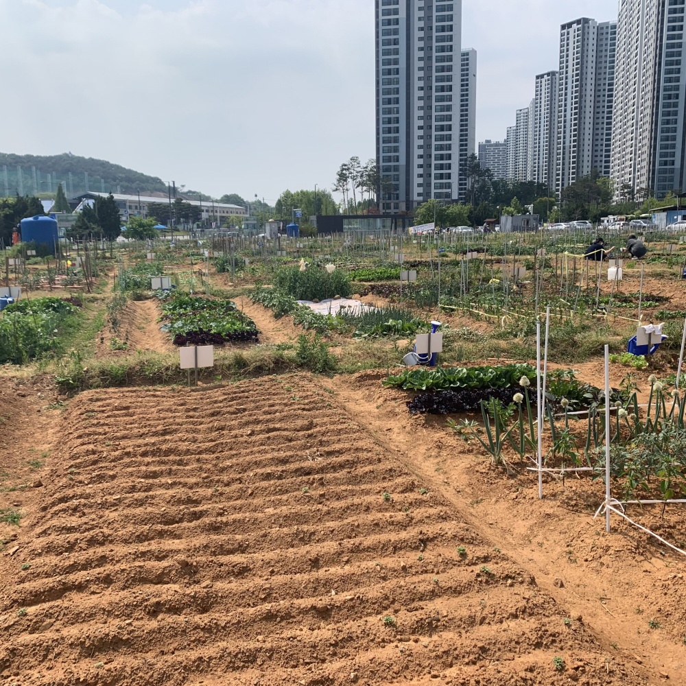 안산시는 2월 4일까지 '주말농장 분양신청'을 받는다.