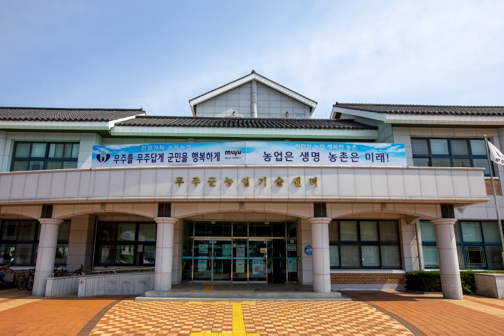 무주군, 청년농 대상 고랭지 여름상추 재배 시범사업 추진한다