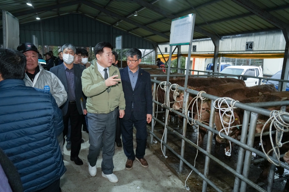 제주, 한우 가격 경쟁력 강화를 위한 적극 관심
