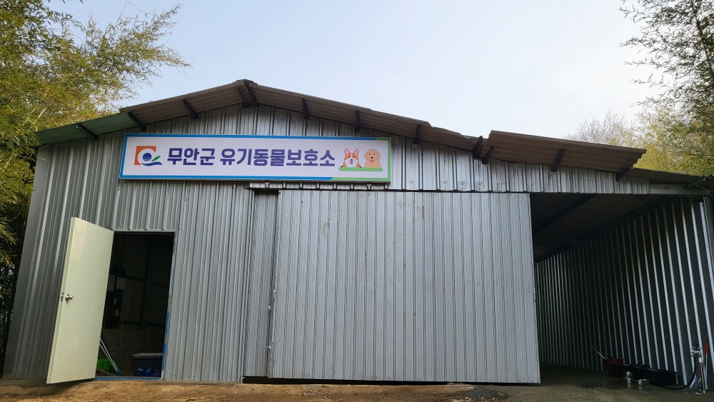 무안군, 축산과에 동물복지팀 신설... 유기·반려 동물 전담한다