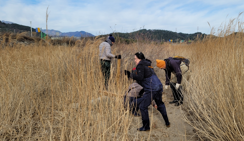 양양군, 바이오블리츠(bioblitz) 운영...생물다양성 확인!