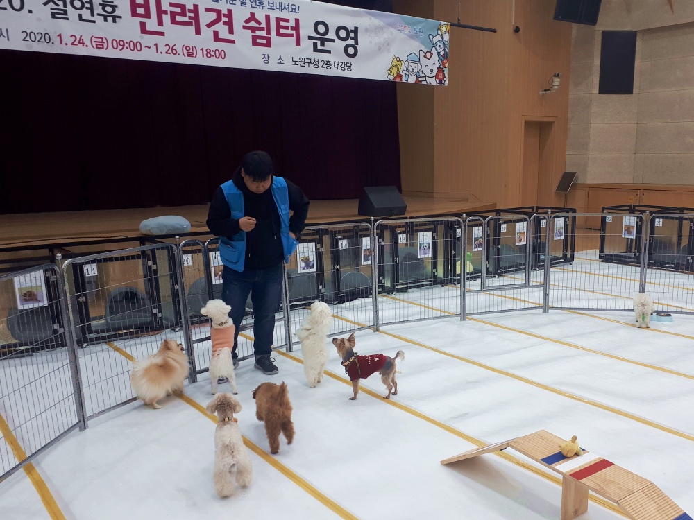 서울 노원구, 설 연휴 반려견 돌봄쉼터 운영